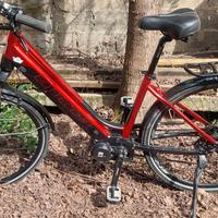 E-trekking Bottecchia BE19