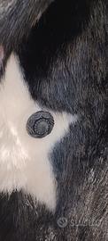 Cappotto con stelle