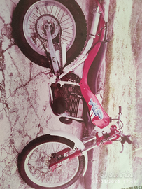 Motociclo Beta Alp 250