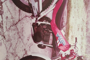 Motociclo Beta Alp 250