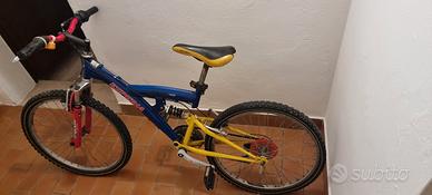 Bici da Ragazzo 