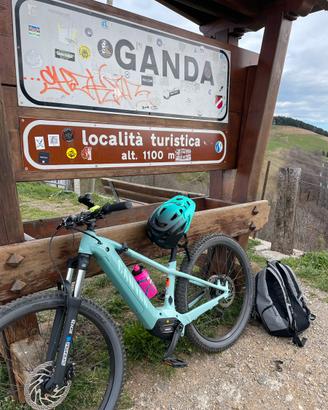 Bici Elettrica Canyon