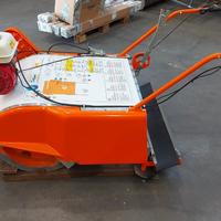 Pulisci Spiaggia Delfino