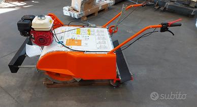 Pulisci Spiaggia Delfino