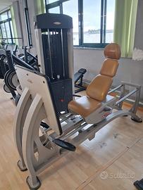 palestra
