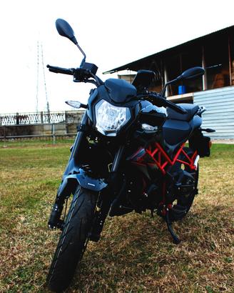 Benelli bn 125 2025
