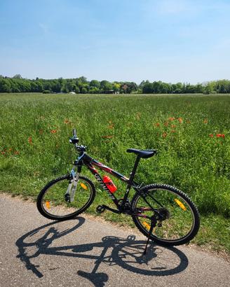 Mountainbike Specialized