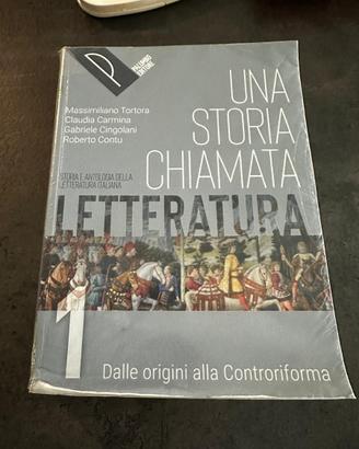 STORIA CHIAMATA LETTERATURA (UNA)