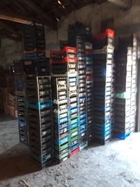 Cassette di plastica