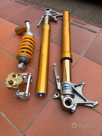 Sospensioni Ohlins Monster 1200S + Amm. Sterzo Rot