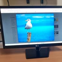 Monitor LG 24 Pollici LED  Perfettam te Funzionant