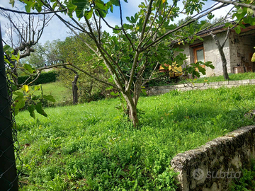 Magazzini con terreno 1,5 km dal centro