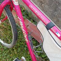  Coppia Mountain bike 