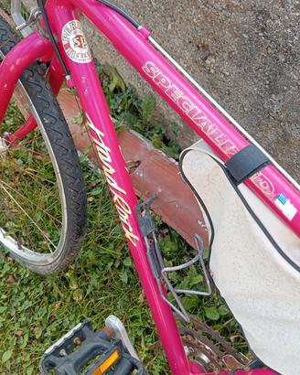  Coppia Mountain bike 