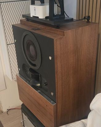 Electro voice interface delta