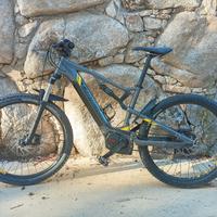 bicicletta pedalata assistita 