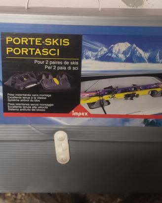 porta sci magnetico 