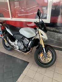 Honda hornet