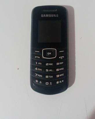 Cellulare Samsung GT E1080W