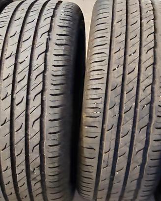 Gomme estive 