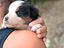 Immagine 3