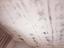 Immagine 19