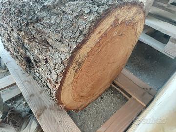 Tronco d'albero grezzo.legno Cedro del Libano.