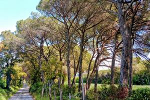 Stazione Bolgheri Azienda agricola 26 ettari