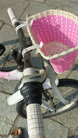 Bicicletta Stucchi bambina da 20