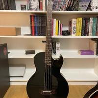 basso acustico Washburn AB10