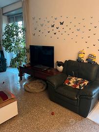 1 stanza per 1 sola ragazza lavoratrice