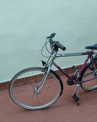 City bike Bianchi uomo