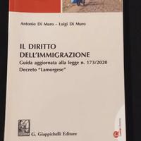 LIBRO: IL DIRITTO DELL'IMMIGRAZIONE