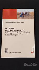 LIBRO: IL DIRITTO DELL'IMMIGRAZIONE
