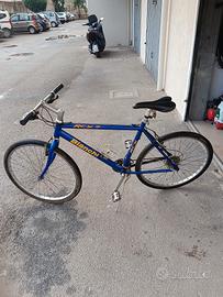 bicicletta 