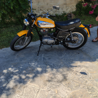 Ducati scrambler 250