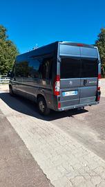 Fiat ducato 9 posti usato