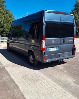 Fiat ducato 9 posti usato