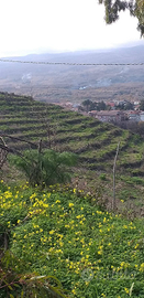 Proprietà agricola con casolare a Linguaglossa