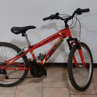 bici mtb ragazzo ruote 24