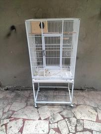 gabbia per volatili 
