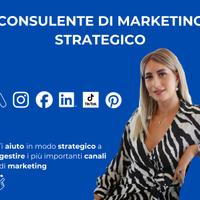 Consulente di Marketing Strategico