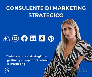 Consulente di Marketing Strategico