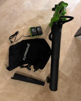 Aspirafoglie e soffiatore mai usato Greenworks
