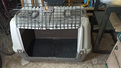 Trasportino cani per auto