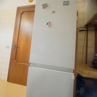 Frigo