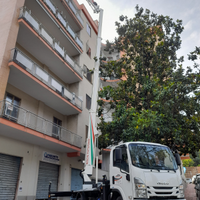 Piattaforma cela dt25