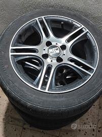CERCHI IN LEGA MSW E GOMME