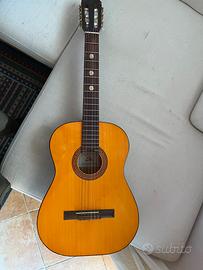 Chitarra Eko