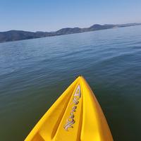 Stand Up Paddle Kayak